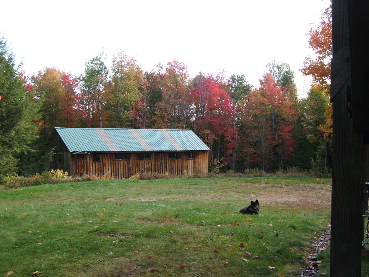 Boat Shed with Autumn colors